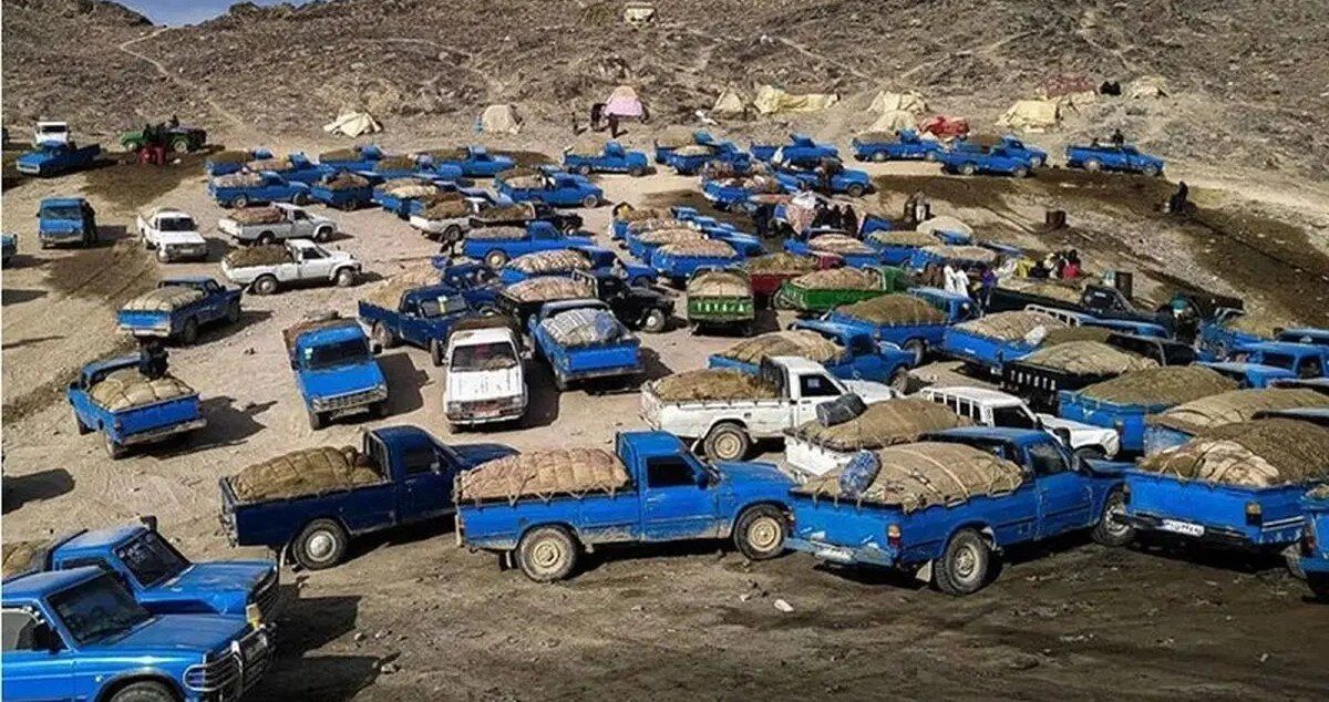 ۲۰ میلیون سوخت قاچاق به جیب چه کسانی میرود؟ / سوخت یارانهای را بردار و فرار کن!