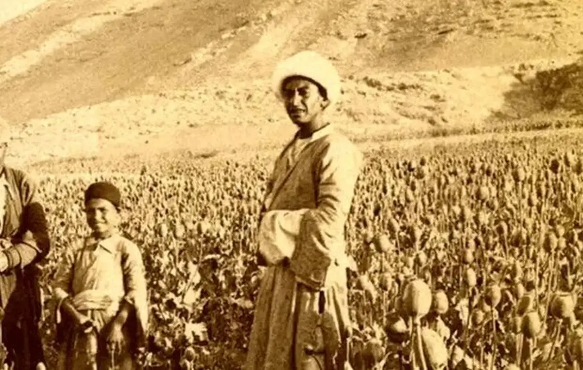 مزرعه «خشخاش» در اطراف اصفهان در دوران قاجار