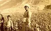 مزرعه «خشخاش» در اطراف اصفهان در دوران قاجار