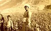 مزرعه «خشخاش» در اطراف اصفهان در دوران قاجار