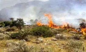 آتش‌ سوزی‌ در جنگل ابر؛ اعزام نیروهای ارتش، سپاه و آتش‌نشانان ۳ شهر همجوار

