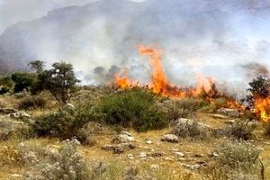 آتش‌ سوزی‌ در جنگل ابر؛ اعزام نیروهای ارتش، سپاه و آتش‌نشانان ۳ شهر همجوار

