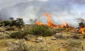 آتش‌ سوزی‌ در جنگل ابر؛ اعزام نیروهای ارتش، سپاه و آتش‌نشانان ۳ شهر همجوار

