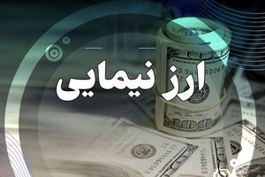 آغاز عرضه ارز تجاری در بازار یکپارچه ارز نیما/ ویدئو

