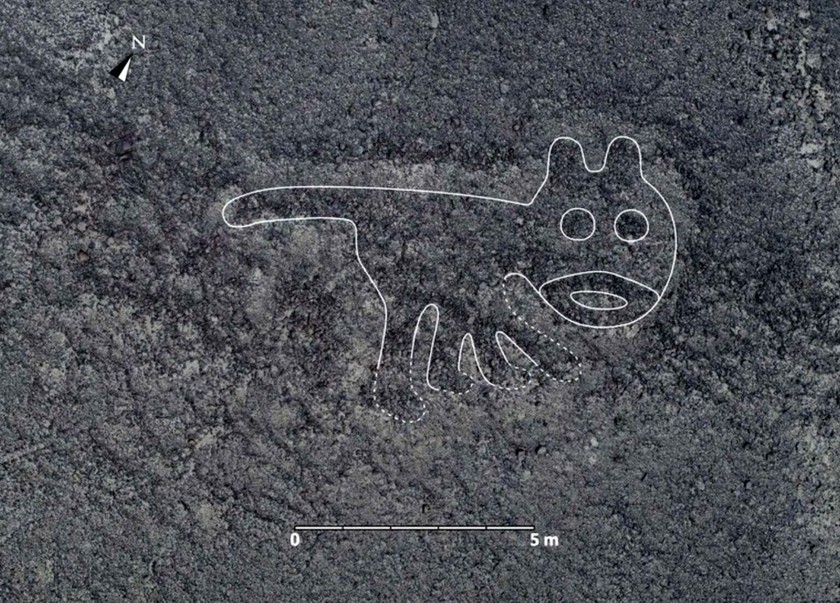 کشف ۱۰۰ طرح جدید و اسرارآمیز در صحرای باستانی نازکا 