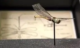 سنجاقک‌های جاسوس چگونه پدید آمدند؟