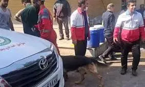 حضور تیم هاى آنست (سگ هاى جستجو و نجات) هلال احمر جهت امدادرسانى در محل هاى اصابت موشک در تهران/ ویدئو