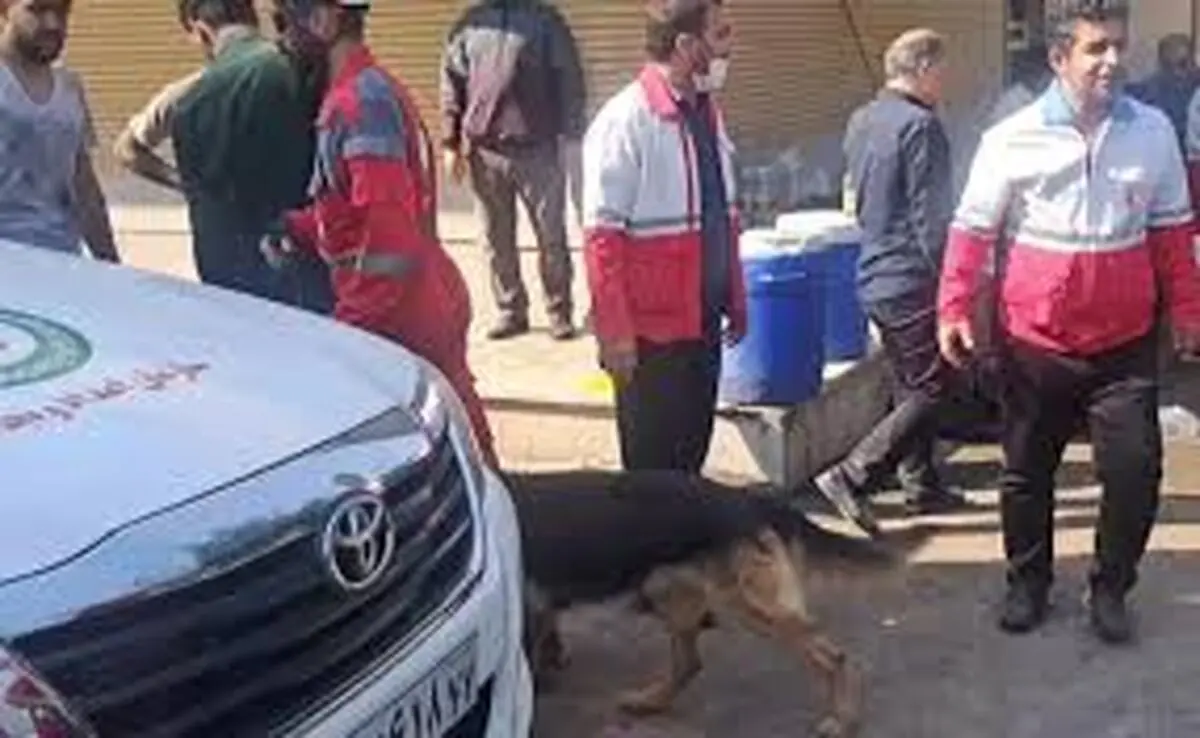 حضور تیم هاى آنست (سگ هاى جستجو و نجات) هلال احمر جهت امدادرسانى در محل هاى اصابت موشک در تهران/ ویدئو