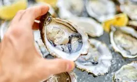 الهام از صدف برای مونتاژ نانوذرات و تولید پوشش لایه نازک

