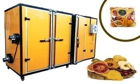 همه چیز درباره کسب درآمد با دستگاه میوه خشک کن