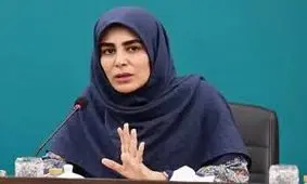 معاون وزیر ارشاد: شورای امنیت کشور، برگزاری کنسرت های خیابانی را تصویب کرده است 