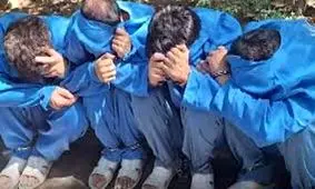 رفیق‌کشی برای گنج