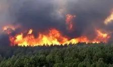 فروکش آتش‌سوزی در ارتفاعات چالوس با آغاز بارش‌ها 