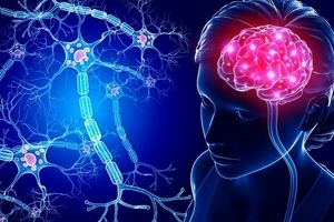 دانشمندان نحوه پیوند و ارتباط میان ذهن و بدن را در مغز انسان شناسایی کردند 
