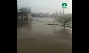 باران شدید و تندباد لحظه‌ای در جیرفت و کهنوج/ ویدئو