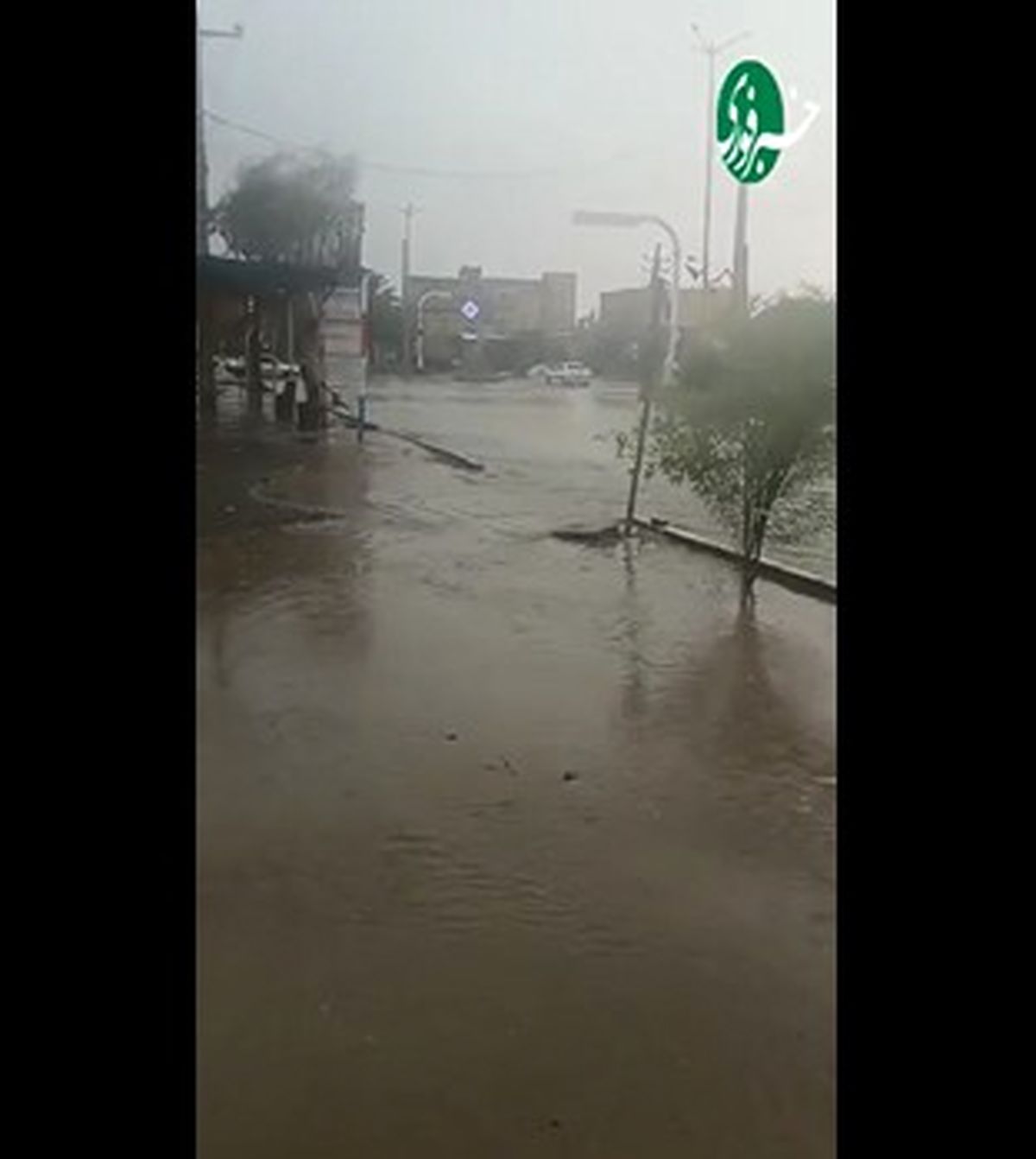 باران شدید و تندباد لحظهای در جیرفت و کهنوج/ ویدئو