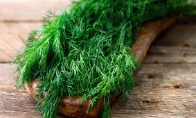 خواص باورنکردنی این سبزی متعجب تان می کند!