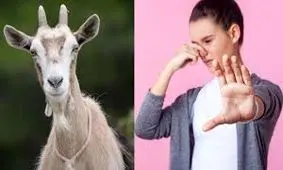 یافته جدید دانشمندان: بدن نوجوان‌ها بوی «بز» می‌دهد