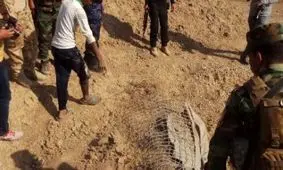 کشف گور جمعی سربازان مصری در فلسطین اشغالی