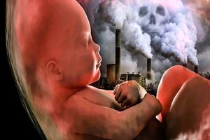 آلودگی هوا در سقط جنین چه نقشی دارد؟