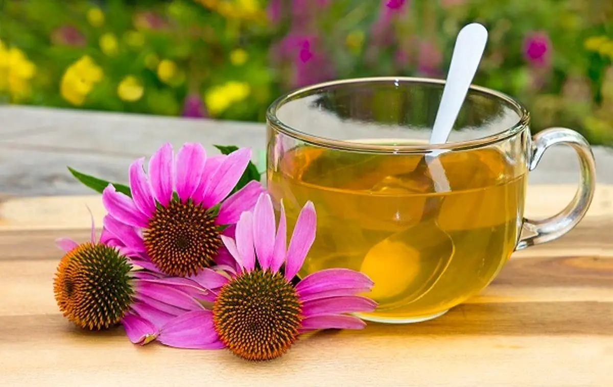 یک گیاه زمستانی تمام عیار