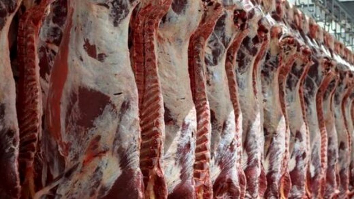 گوشت از دامدار کیلویی چند خریداری میشود؟