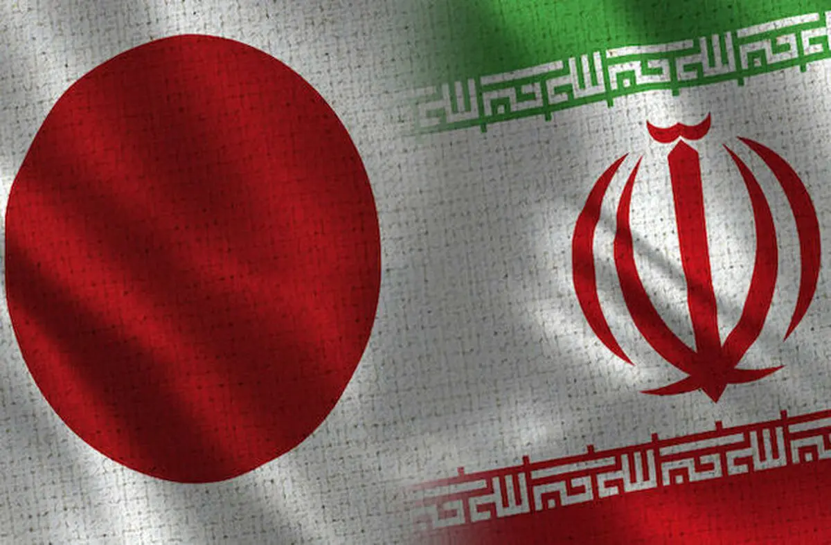 توهین عضو پارلمان ژاپن به پرچم ایران/ عکس

