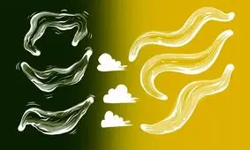 کرم‌های الگانس، مرگ را بو می‌ کشند

