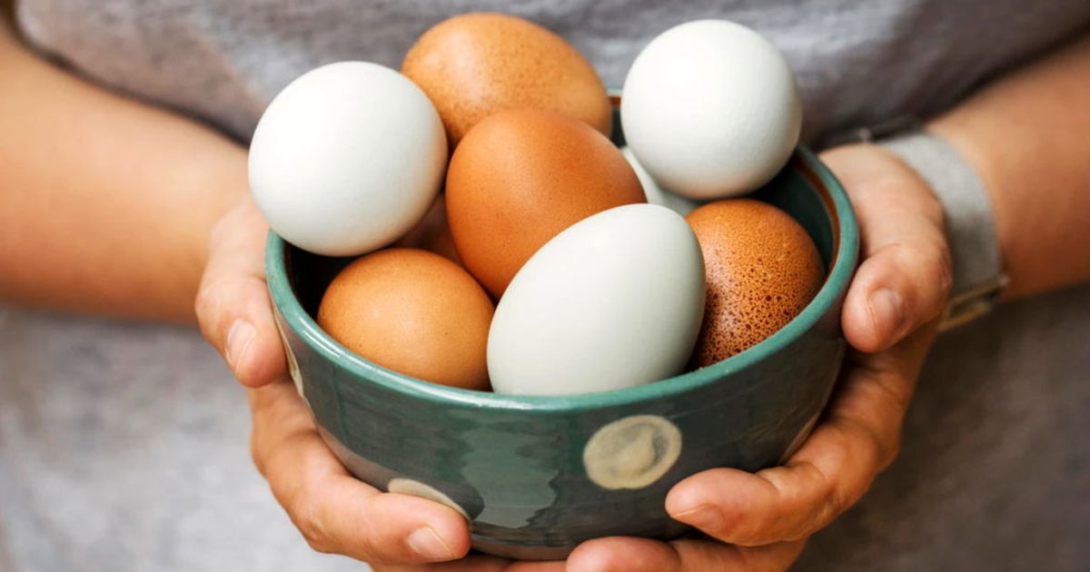 چرا تخم مرغ یک سوپرغذاست و چگونه به غلبه بر بیماری کمک میکند؟