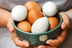 چرا تخم مرغ یک سوپرغذاست و چگونه به غلبه بر بیماری کمک می‌کند؟