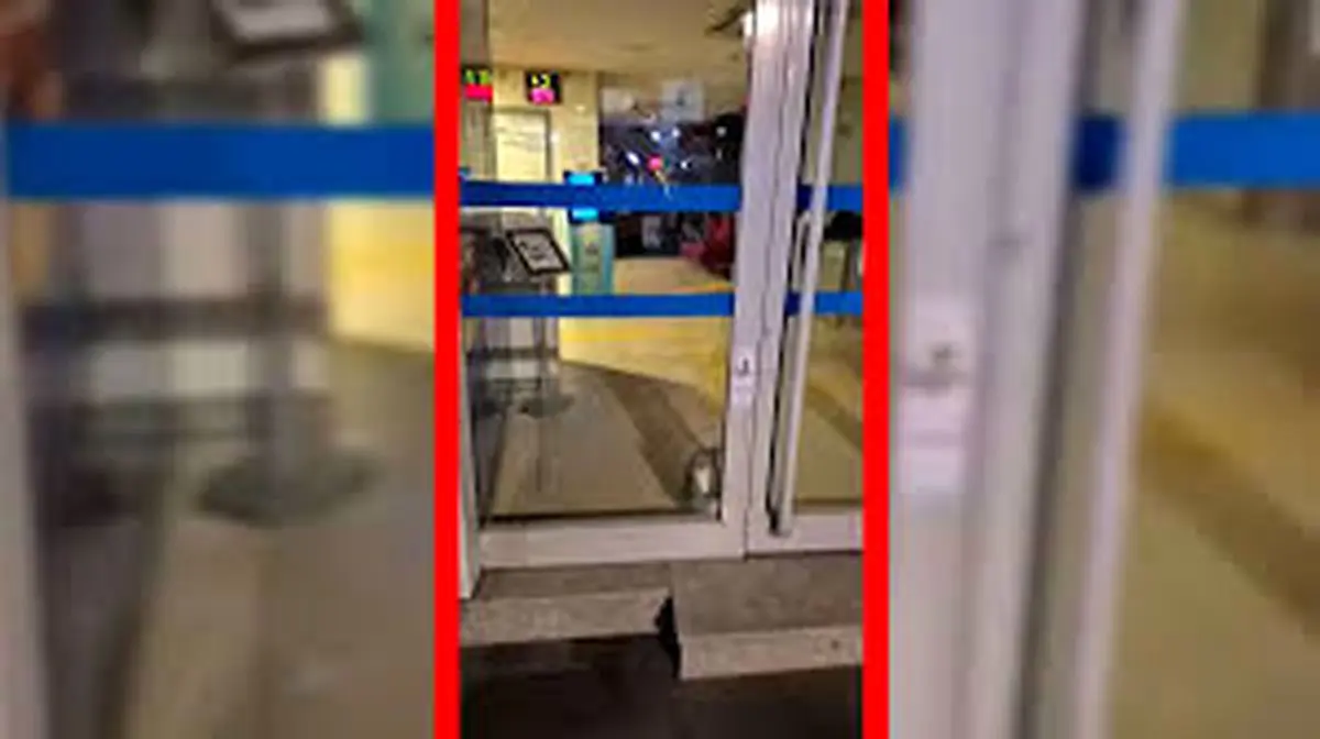 گربه سارق آژیر بانک را به صدا درآورد/ ویدئو