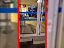 گربه سارق آژیر بانک را به صدا درآورد/ ویدئو