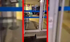 گربه سارق آژیر بانک را به صدا درآورد/ ویدئو