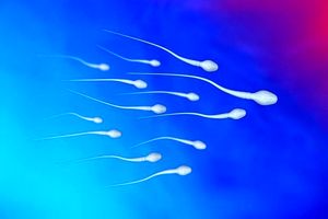 نتایج پژوهش؛ آلاینده‌های شیمیایی، تعداد اسپرم مردان را کاهش داده است
