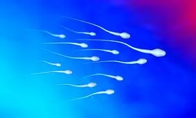 نتایج پژوهش؛ آلاینده‌های شیمیایی، تعداد اسپرم مردان را کاهش داده است