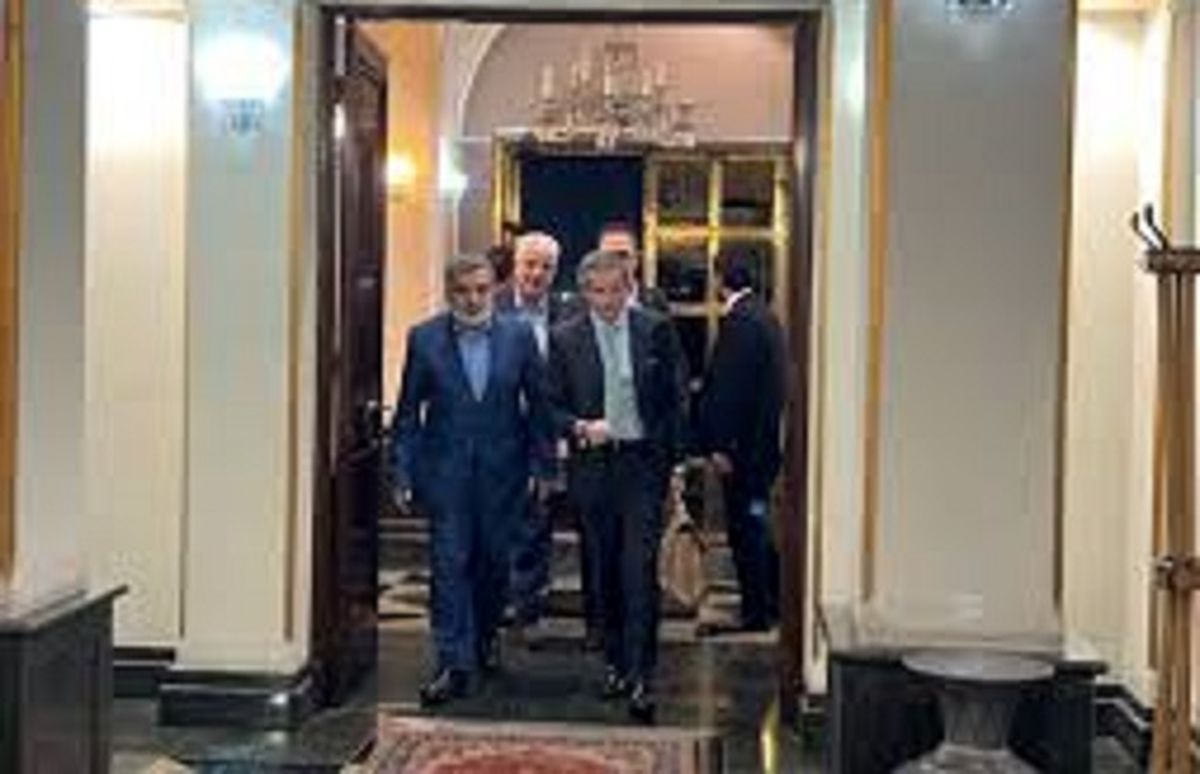 ورود مدیرکل آژانس بینالمللی انرژی اتمی به ایران/ ویدئو