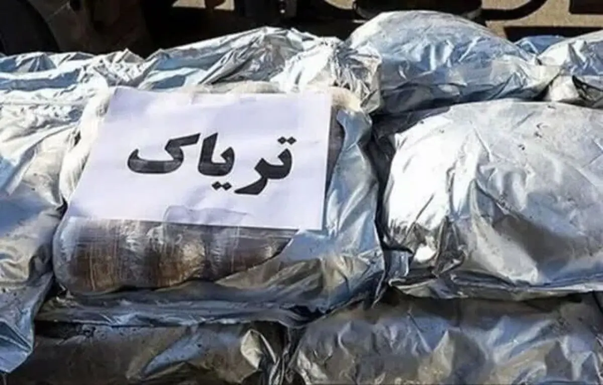 کشف ۹۵۰ کیلوگرم مواد مخدر در کرمان؛ انهدام باند سازمان‌یافته