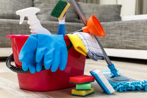 پاکسازی و تمیز کردن خانه از شپش