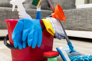 پاکسازی و تمیز کردن خانه از شپش