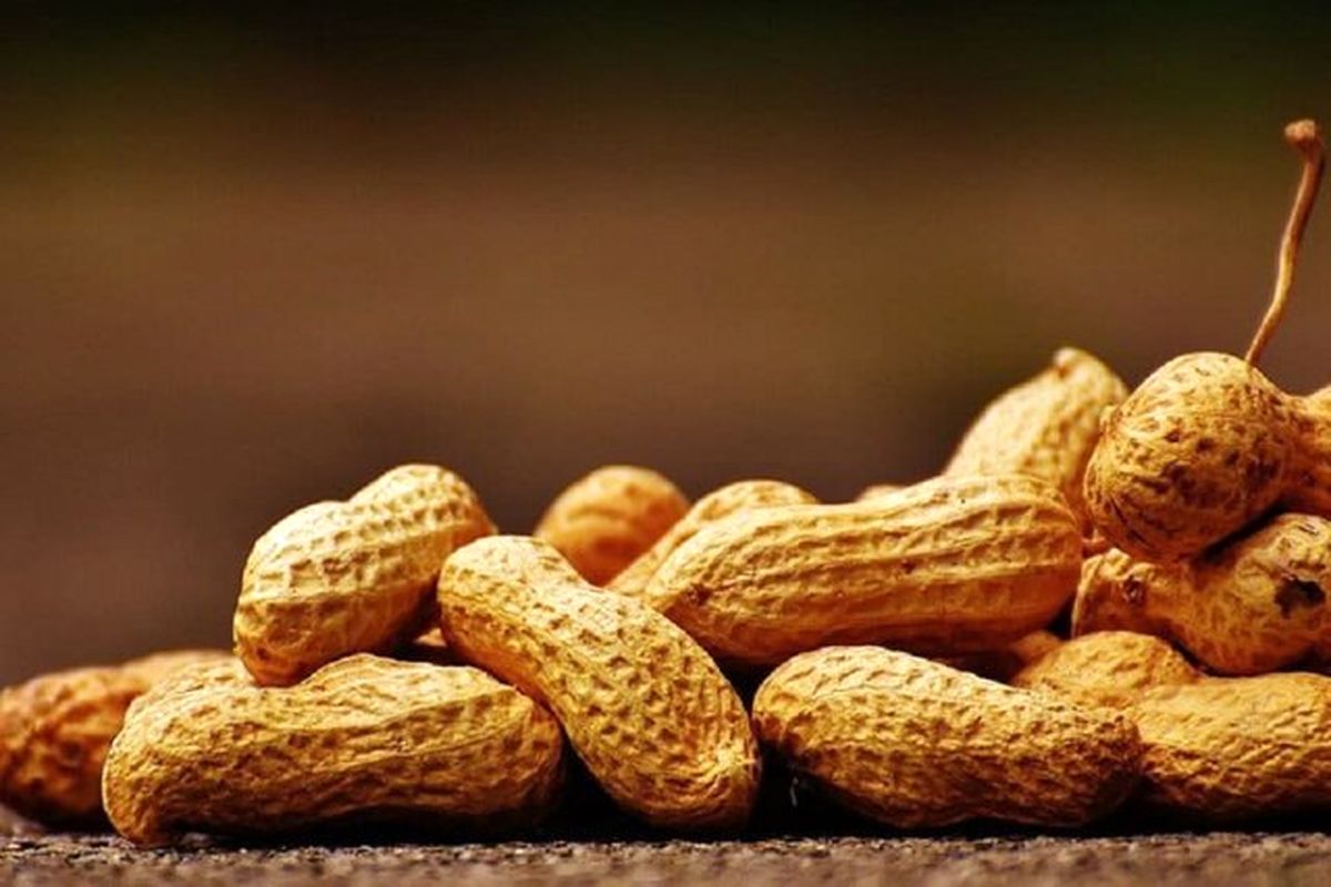 آلرژی غذایی میتواند عامل اختلالات رفتاری باشد