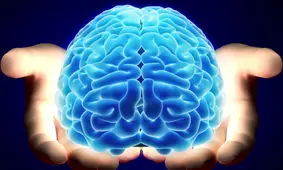 انسان ها از چند درصد مغزشان استفاده می‌کنند؟

