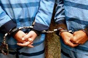 ۳۸ نفر از سرشبکه های ۲ شرکت هرمی در البرز دستگیر شدند