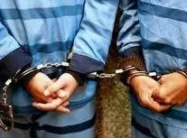 زورگیری از زن باردار در نارمک تهران/ ویدئو