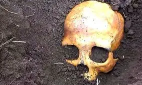 جمجمه نادر شاه که پس از ۲۷۰ سال سر از خاک درآورد/ عکس
