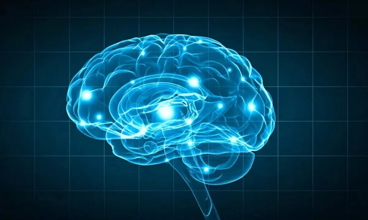  دوز پایین نیکوتین می‌تواند سرعت پیری مغز را کم کند


