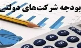 ۱۳۴ شرکت دولتی زیان دادند