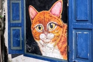 هنر خیابانی؛ شهری در مالزی که به خاطر نقاشی‌های دیواری‌اش معروف شده است