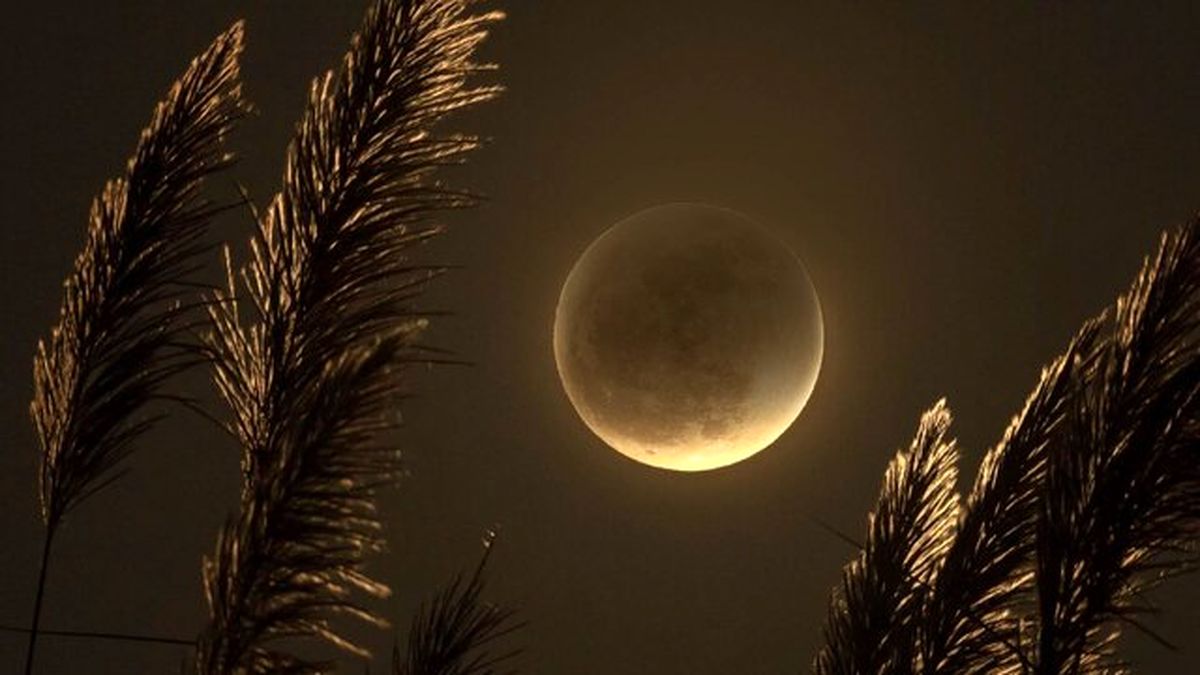 امشب آخرین ماه گرفتگی نیمسایه تا ۱۹ سال دیگر