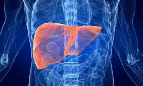 ۶ علامت چرب شدن کبد