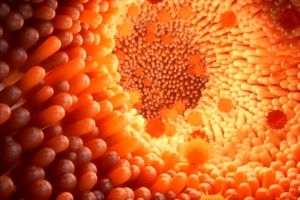 نقش باکتری های روده در جلوگیری از علائم شدید آنفلوآنزا